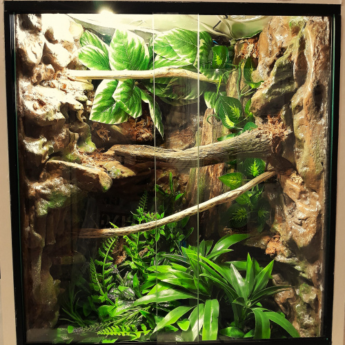 Designer Crested Gecko Enclosure (Large) REQUEST QUOTE